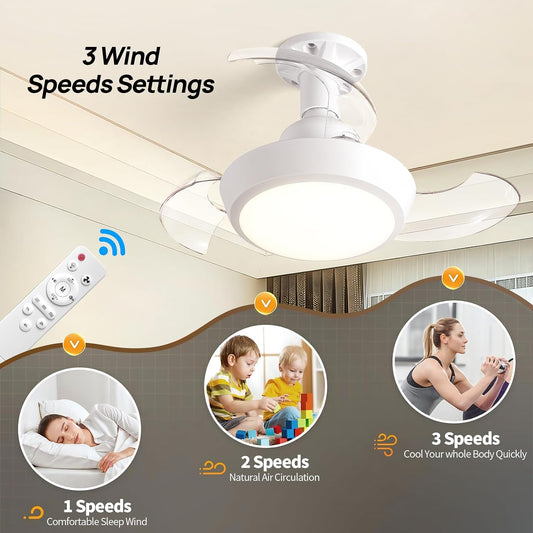 Retractable Socket Fan Light